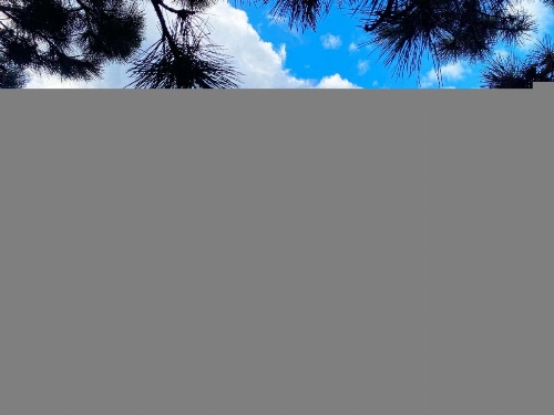 Comfort Inn Hamilton image 27